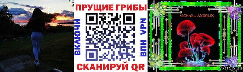 Галлюциногенные грибы MAGIC MUSHROOMS  купить  цена  Черемхово 